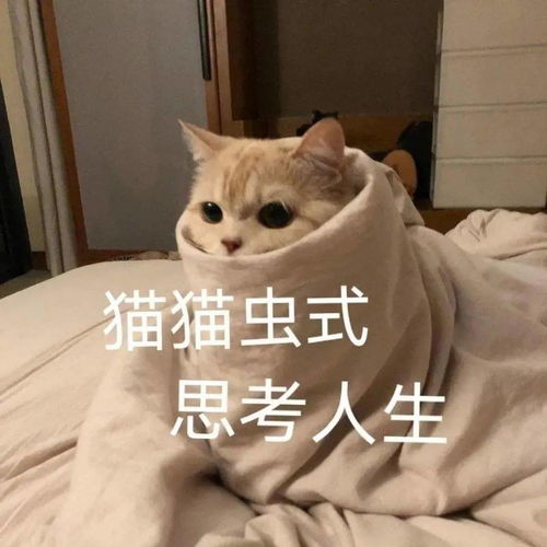 王者风云打剧情也能捡到双强混手镯这支89战队真实力与欧气并存