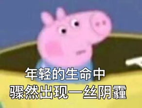愁人的表情包猪猪