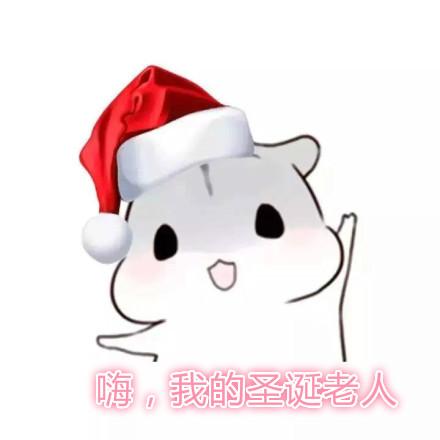 仓鼠圣诞节表情包合集老婆圣诞快乐