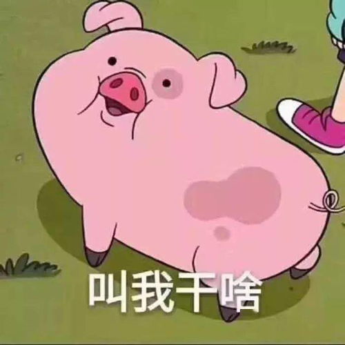 单身狗在吗快来霸占这些好看的头像
