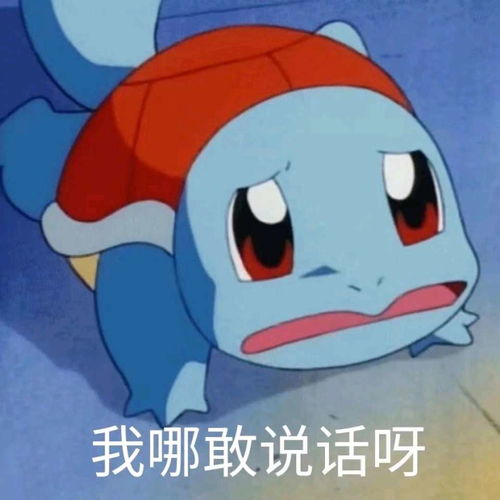 杰尼龟专用表情包