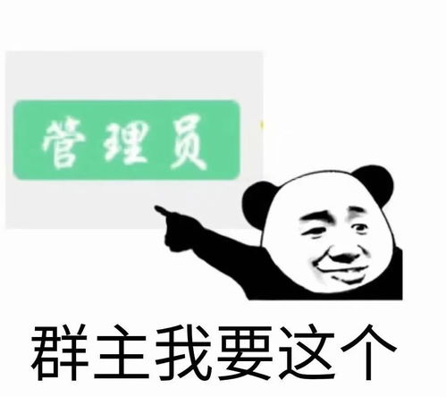 你怎么还单身熊猫头表情包