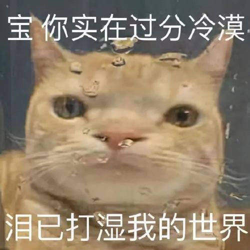 冷空气不断补充,下周韶关气温将低至