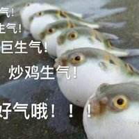 河豚生气到变形表情包微信头像图片大全