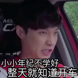 如何评价张艺兴