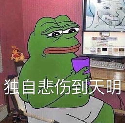 大b神脱口秀有钱没脸叫老公有脸没钱叫炮友