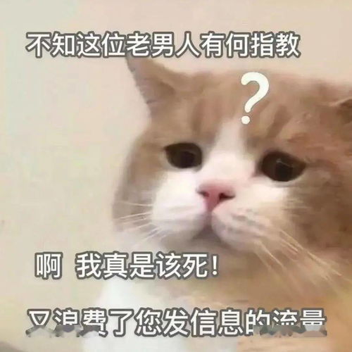 抖音最火热门表情包