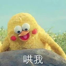 墨子丶照片墨子丶相册大全yy官方