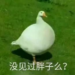 一直很多火的