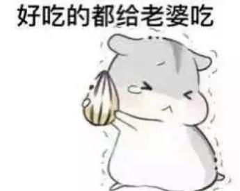 哄老婆表情包老婆大人对不起好喜欢老婆我老婆超级可爱