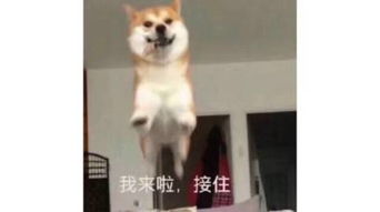 youx的微博微博