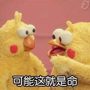 微信零钱表情包春节
