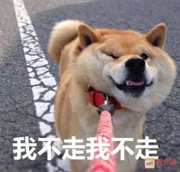 今天开始封路时长4个多月