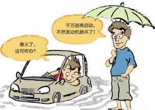 柯桥和泰起亚用车共享暑假自驾游篇