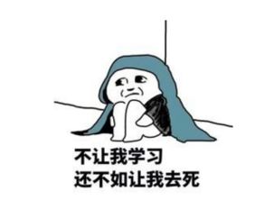 人人都能学习大数据吗