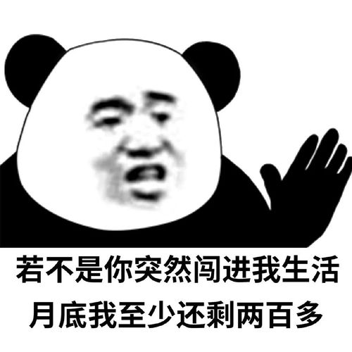 表情包分享丨生活最重要的就是哈哈哈哈哈