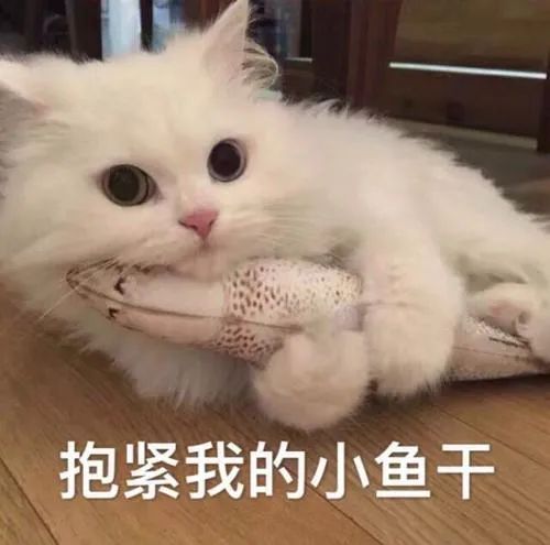 西安重污染天气橙色预警超10天仍未解除陕西中南部将有雨雪