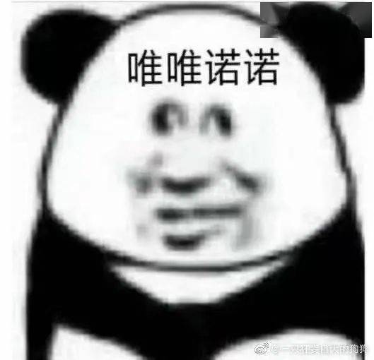 迪士尼里游客上台打人,杰克船长太敬业全程未出戏