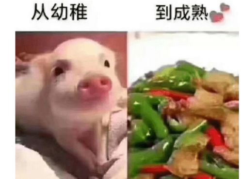 得瑟表情包能不能
