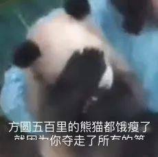 夺笋呐表情包