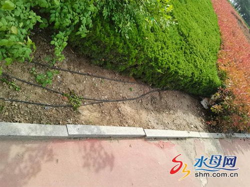 施工挖掘损坏电缆光缆芝罘公路及时处置确保出行安全