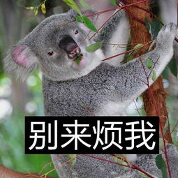 我都说可以做普通朋友了,那个相亲男居然还敢删我