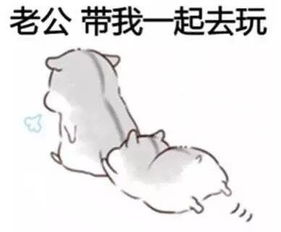 相公表情包