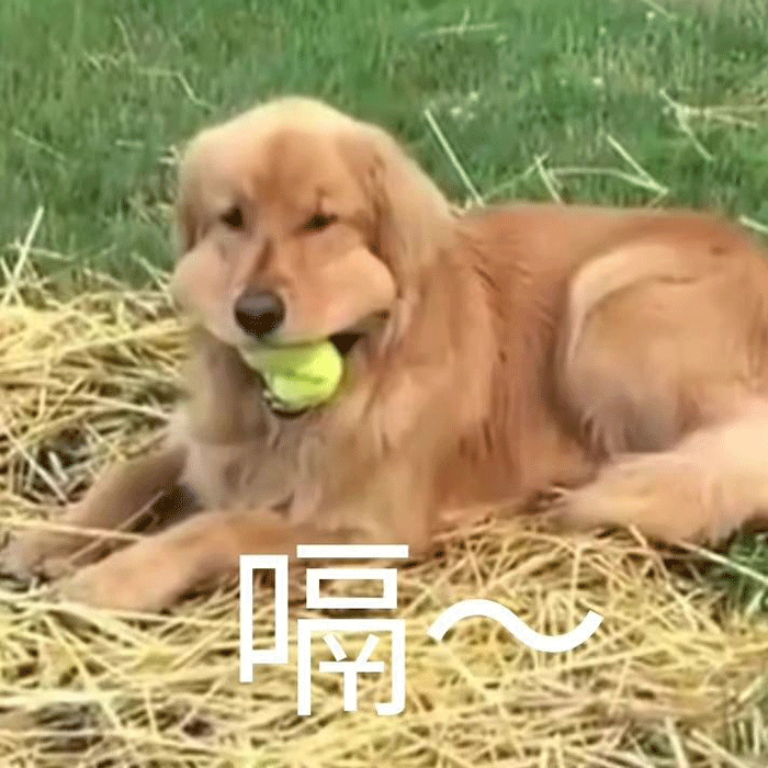 沙雕表情包下班下班狗子快走