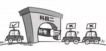 同在驾校学车,为什么补考的总是你知道为什么吗