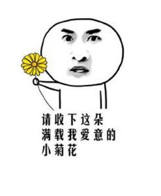 一言不合就斗图论表情包的江湖地位