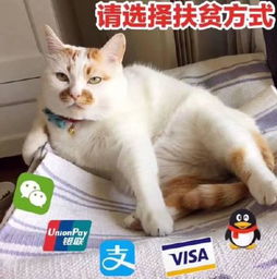 要钱的表情包能给你的小可爱一点生活费吗
