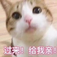 给你饼干吃表情包