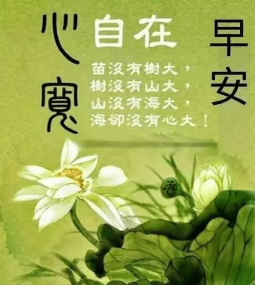 来生,想做一朵蒲公英,无牵无挂,无欲无求,起风而行,早安满是甜