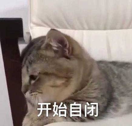幽默笑话,靓仔,这么早你就来买菜了,你媳妇真幸福呀车去