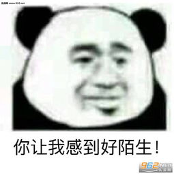 你tm比安徒生还会讲故事表情包图片事情变得有趣了熊猫头表情包下载乐游网游戏下载
