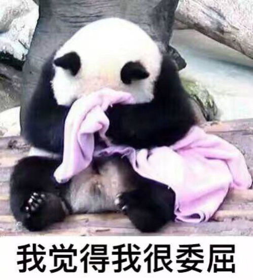 淘宝卖家限制买家购买,如何解决