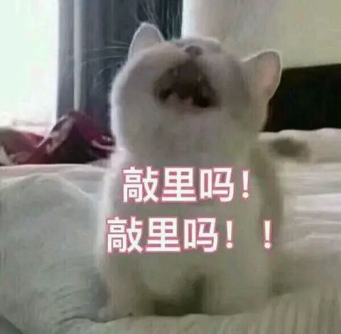 我在烫头发我就是个