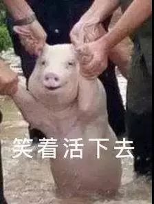 一条有味道的推送世界厕所日,带你解锁蹲厕所最佳姿势