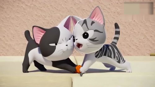 甜甜私房猫小奇和小怪猫抢吃的,说好的一人一半呢