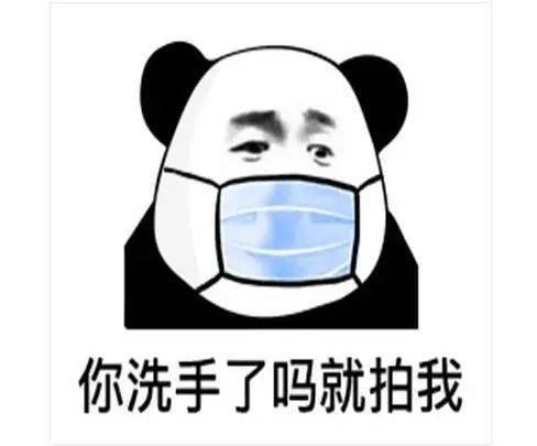 家禽表情包动物图片