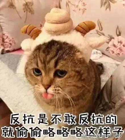 为大家献上一些美国情景喜剧,不烧脑,轻松搞笑,绝对下饭克利夫兰