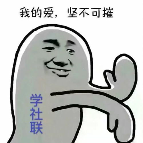 sau招新不要撞南墙,来撞入社联的胸膛