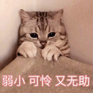 心情花园我们为什么会同情弱小
