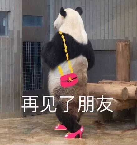 气象会下雪吗emmmm