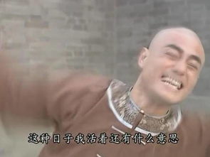 笑疯了wuli蒙丹打败尔康新晋网红诞生了