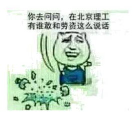 对方不想说话,只丢给你一个北理表情包