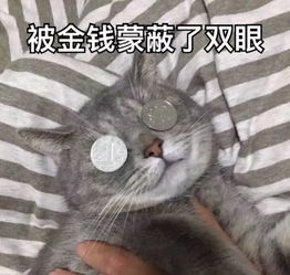 趴着的表情包图片宠溺