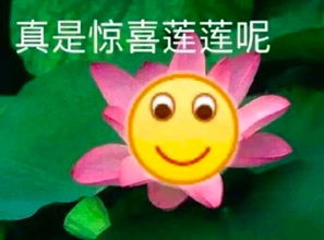 曾轶可伸张正义反被收拾,这下真的凉凉了