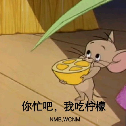摇骰子惩罚图片表情包猫和老鼠