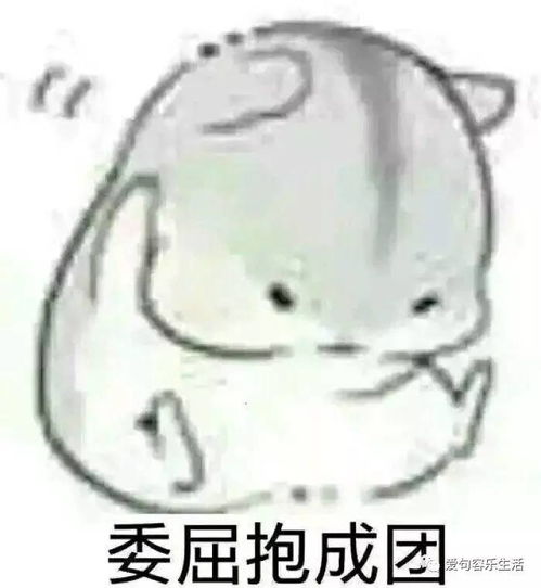 表情包可爱仓鼠土豪村